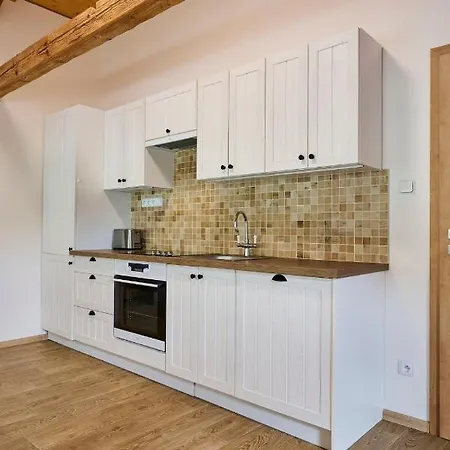 720-1 By Interhome Apartment Korenov